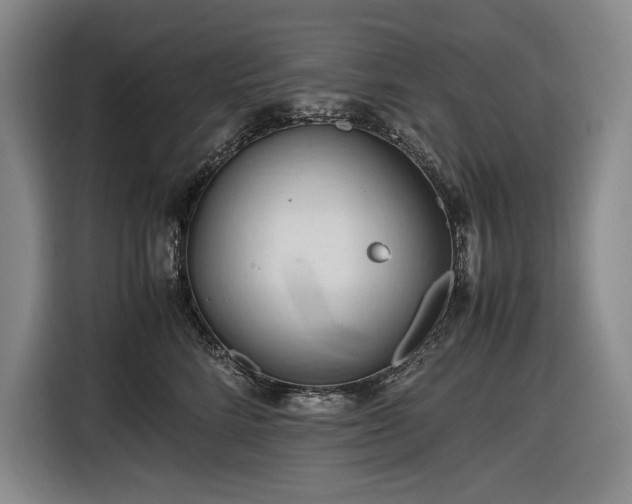 X0000116680712200912211624