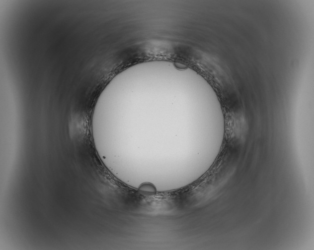 X0000116680713200912211624