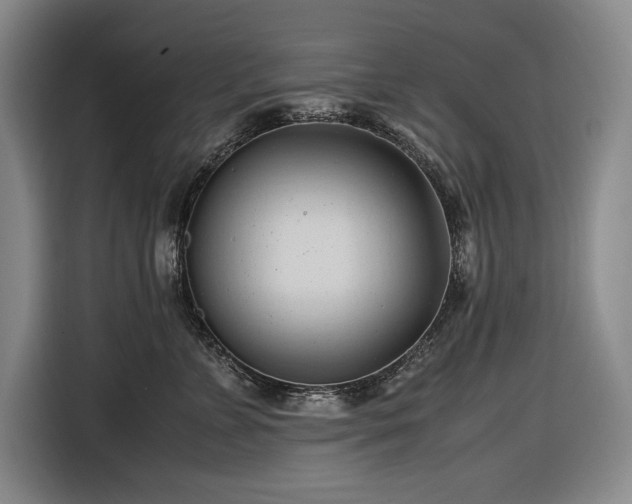 X0000116680715200912211624