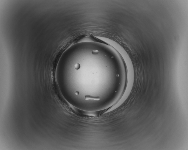 X0000116680716200912211624