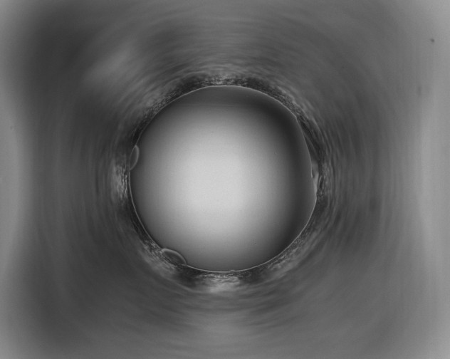 X0000116680719200912211624