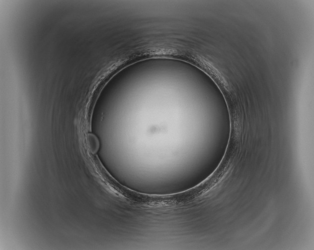 X0000116680721200912211623