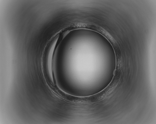 X0000116680722200912211623