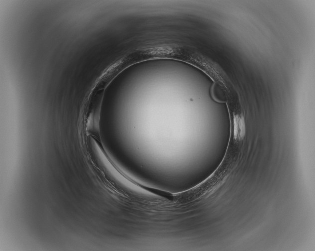 X0000116680723200912211623