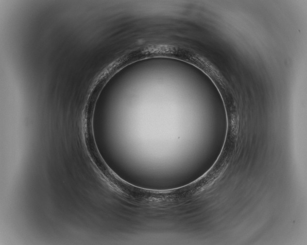 X0000116680725200912211623