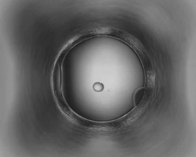 X0000116680726200912211623