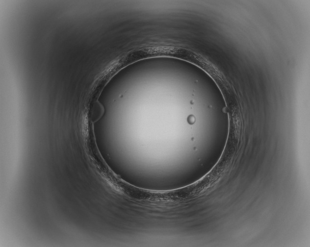 X0000116680729200912211623