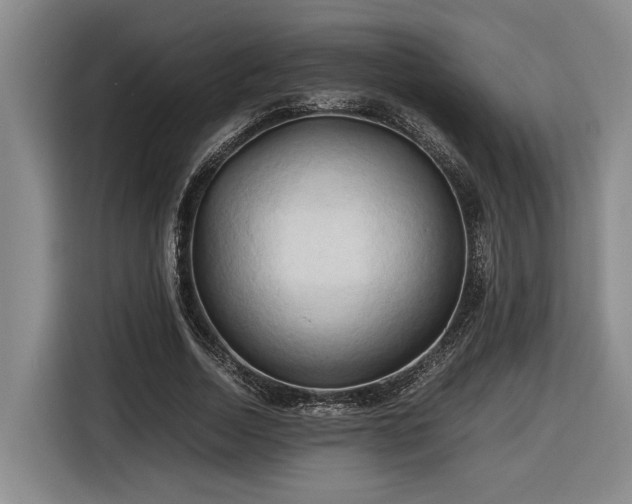 X0000116680730200912211623