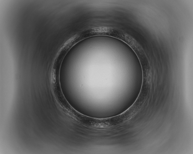 X0000116680731200912211623