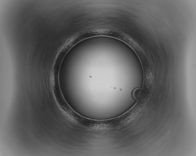 X0000116680734200912211623