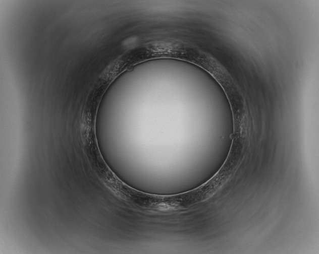 X0000116680737200912211623