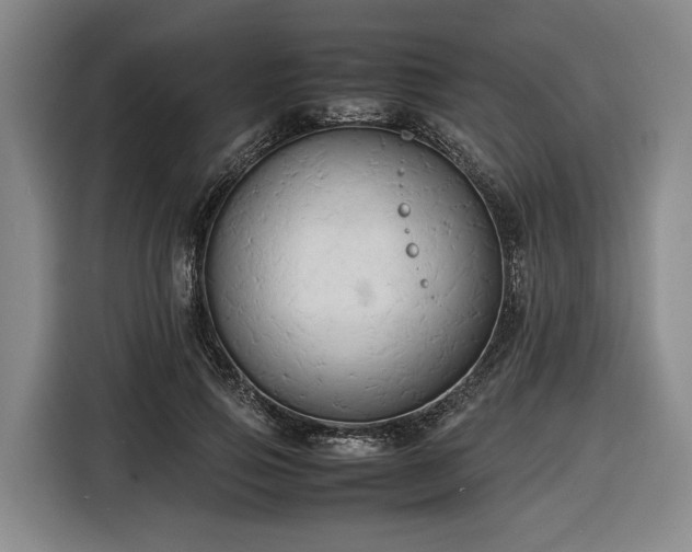 X0000116680741200912211623