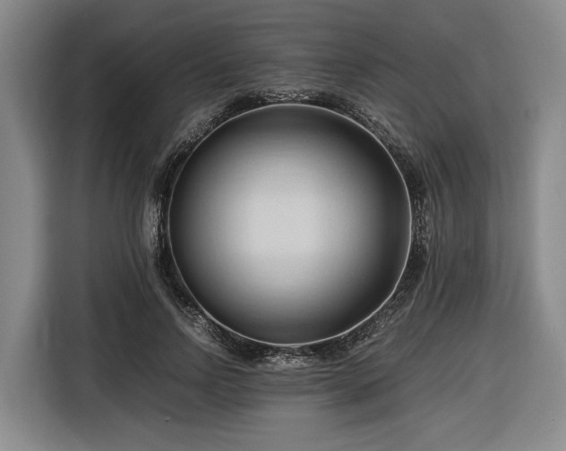 X0000116680742200912211623