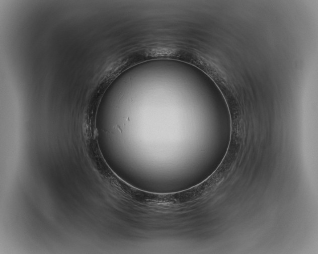 X0000116680743200912211623