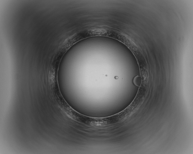 X0000116680745200912211623