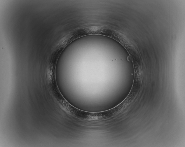 X0000116680746200912211623