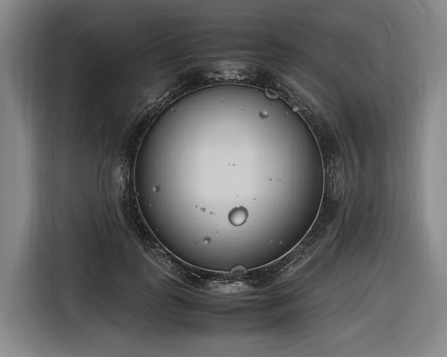 X0000116680747200912211623