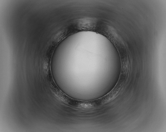 X0000116680749200912211623