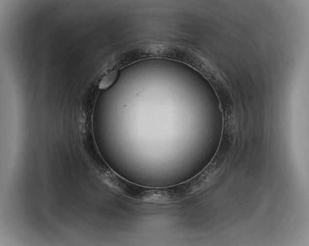 X0000116680750200912211623