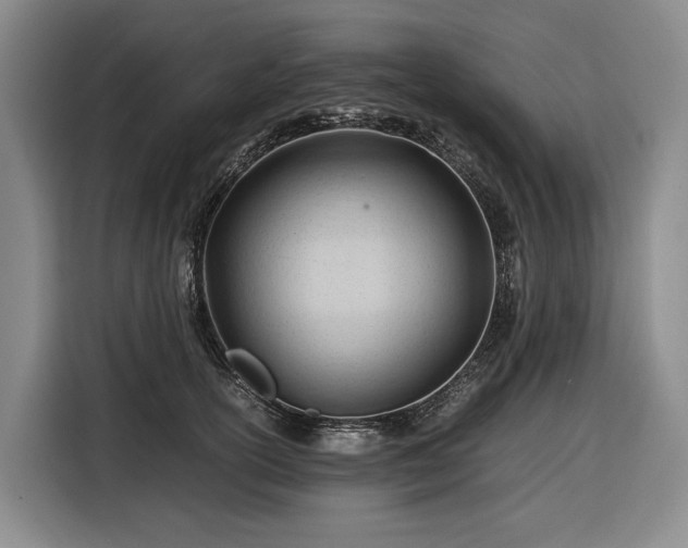 X0000116680754200912211623