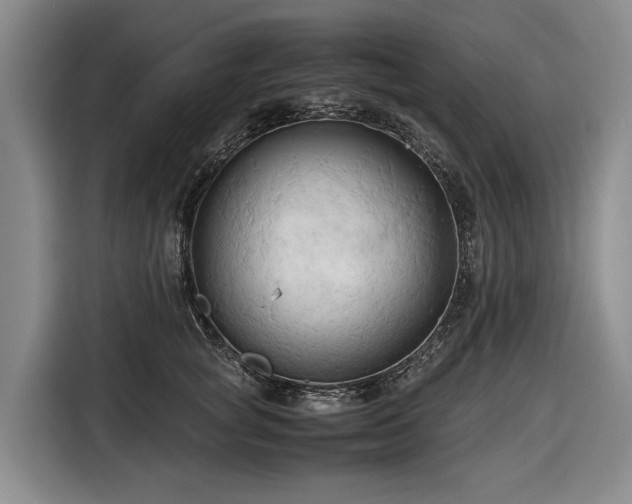 X0000116680757200912211623