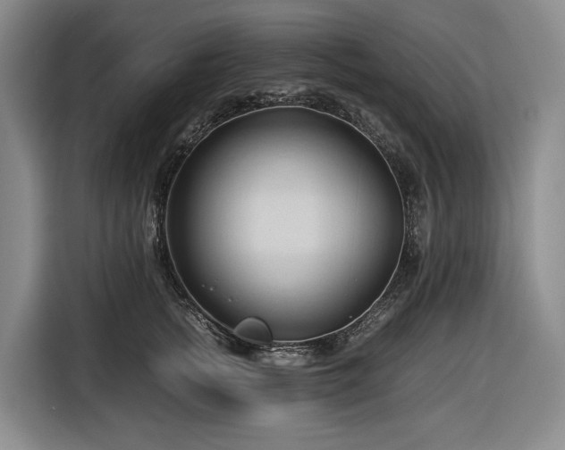 X0000116680758200912211623