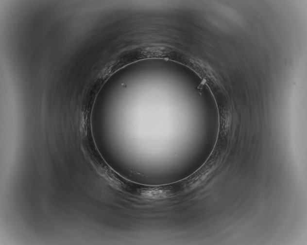 X0000116680759200912211623