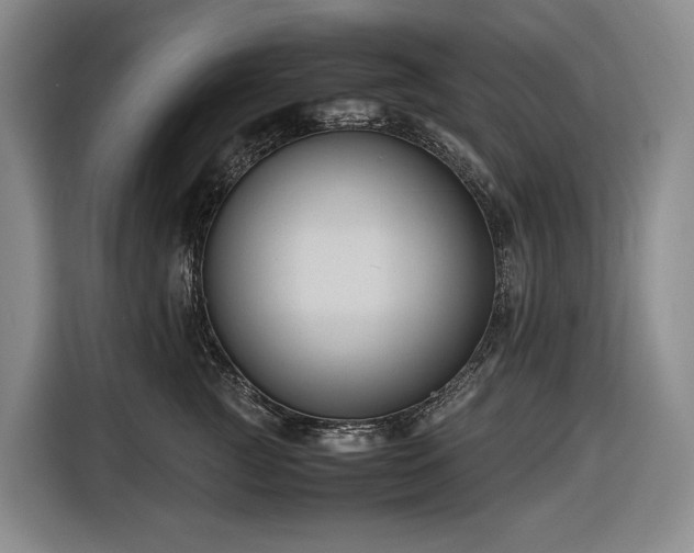 X0000116680761200912211623