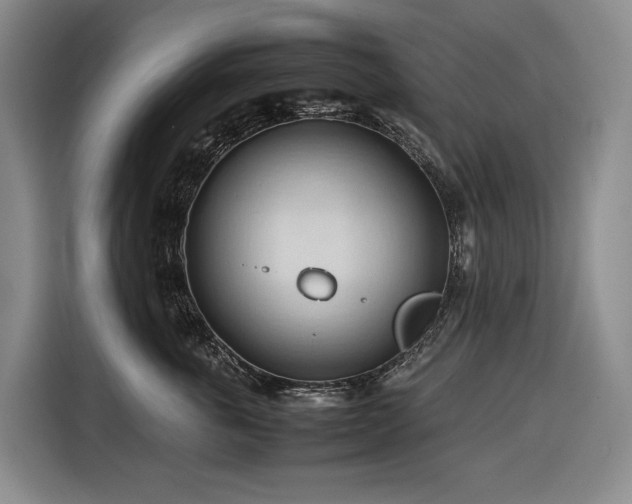 X0000116680763200912211623