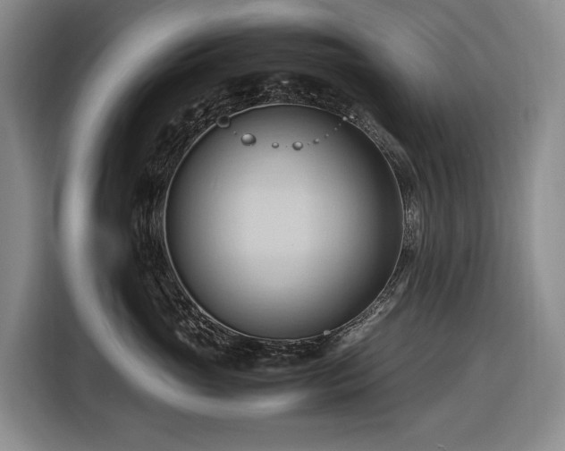 X0000116680765200912211623