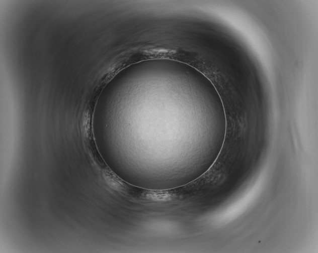 X0000116680767200912211624