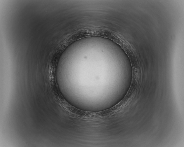 X0000116680770200912211623