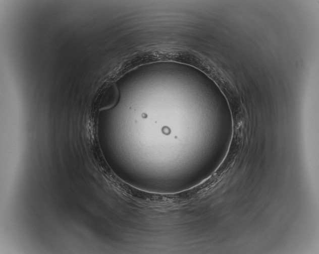 X0000116680772200912211623