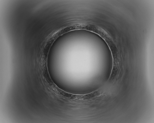 X0000116680773200912211623