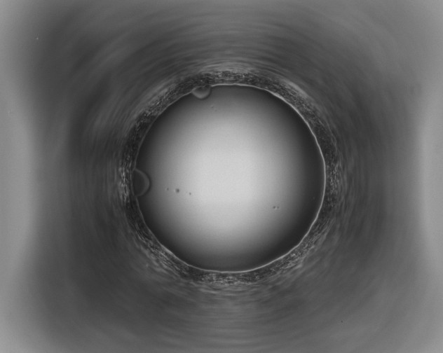 X0000116680774200912211623