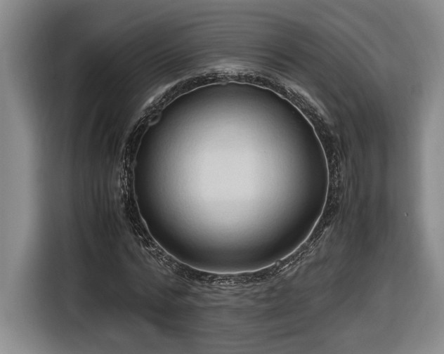 X0000116680776200912211623