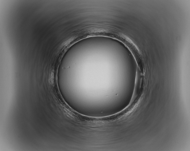 X0000116680777200912211623