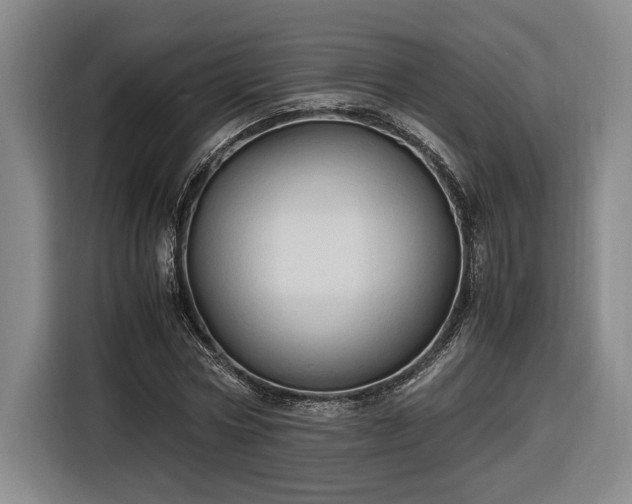 X0000116680778200912211623