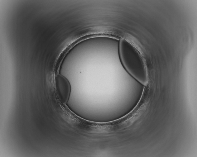 X0000116680781200912211623