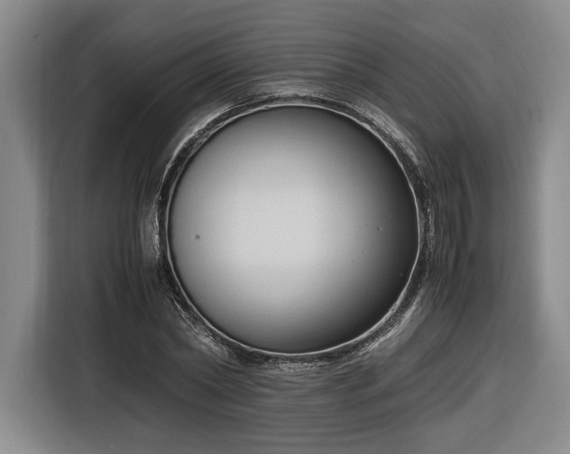 X0000116680782200912211623