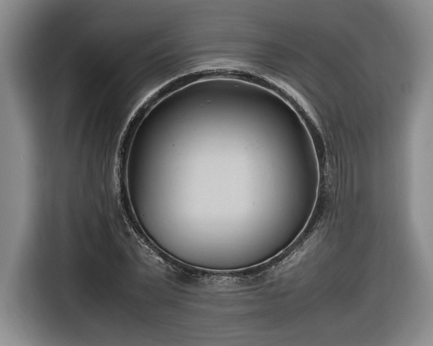 X0000116680783200912211623