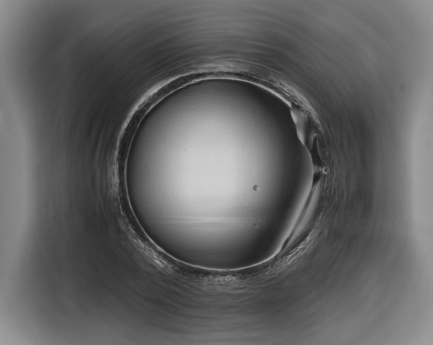 X0000116680784200912211623