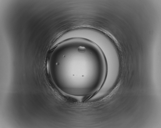 X0000116680785200912211623