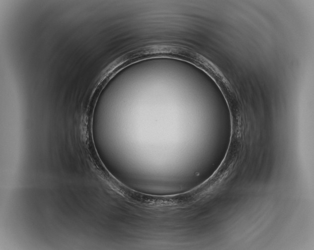 X0000116680786200912211623