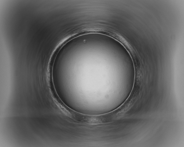 X0000116680787200912211623