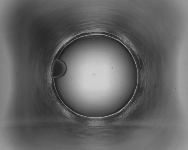 X0000116680789200912211623