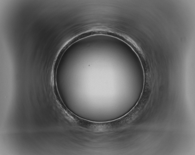 X0000116680791200912211623