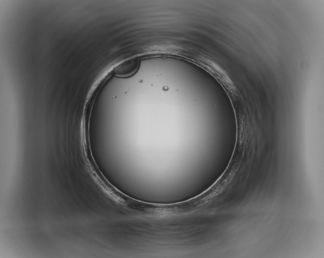 X0000116680796200912211623