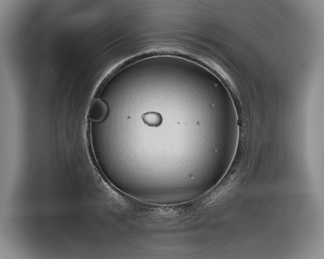 X0000116680799200912211623