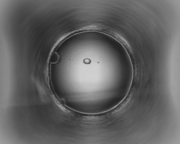 X0000116680800200912211623